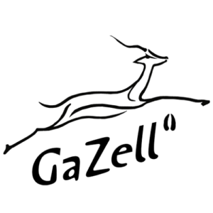 Gazell - Cellule pick up au festival vanlife