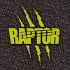 Logo raptor - Provence Van Week End - Festival 100% VANLIFE en Provence